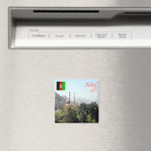zAF008 MOSQUE in Kabul, Afghanistan, Fridge Magneet (Insitu (Vaatwasser))