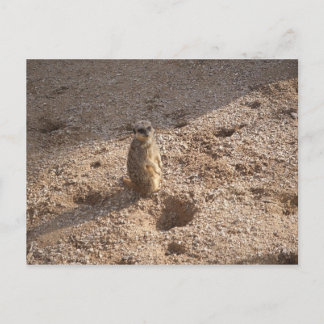 Zag dit en dacht van je! briefkaart