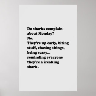 Zagen haaien maandag over poster