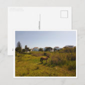 Zahara de los Atunes, Andalusië (Spanje) Briefkaart (Voorkant / Achterkant)