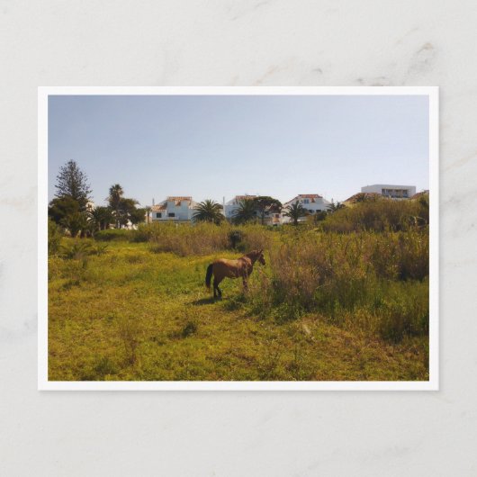 Zahara de los Atunes, Andalusië (Spanje) Briefkaart (Voorkant)