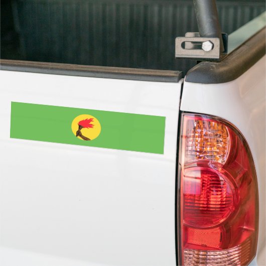 Zaire Flag Bumpersticker (Op Truck)