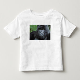 Zaïre, Nationaal park Virunga. Portret van Kinder Shirts