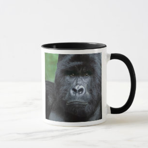 Zaïre, Nationaal park Virunga. Portret van Mok