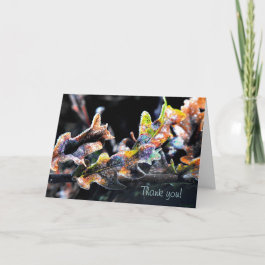 Zak Fairy Frosting Bedankkaart (Voorkant)