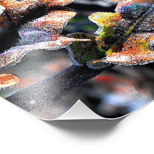 Zak Fairy Frosting Foto Afdruk (Hoek)