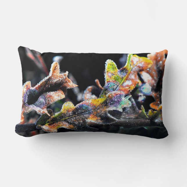 Zak Fairy Frosting Kussen (Voorkant)