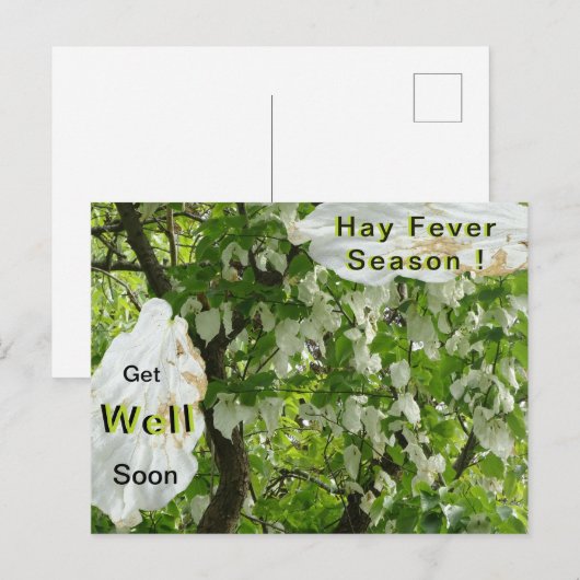 Zakdoek Boom Hooikoorts Seizoen Ansichtkaart Briefkaart (Voorkant / Achterkant)