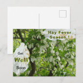 Zakdoekboom Hooikoorts Seizoen Ansichtkaart Briefkaart (Voorkant / Achterkant)