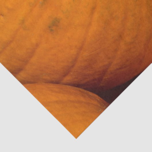 zakdoekje tissuepapier (Detail)