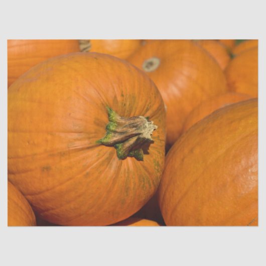 zakdoekje tissuepapier (Voorkant)