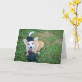 Zakdoospijp Corgi lege wenskaart Kaart (Gele Bloem)