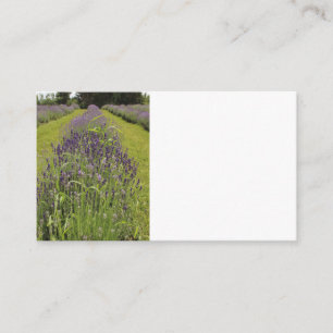 Zakelijke kaarten van Seafoam Lavender Farm Visitekaartje