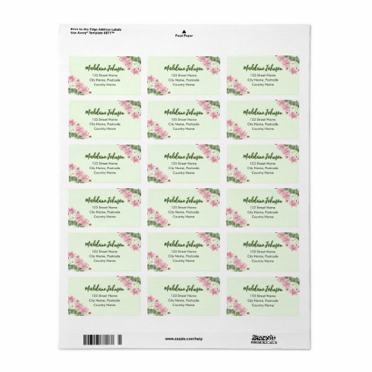 Zakelijke Waterverf Gentle Roze Japans Anemone Etiket (Full Sheet)