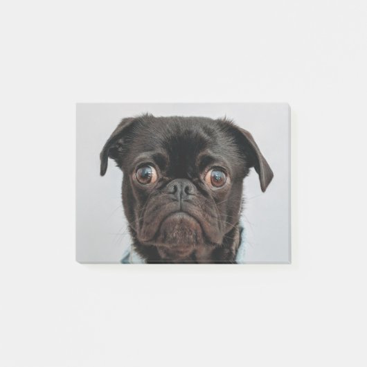 zakenhond post-it® notes (Voorkant)