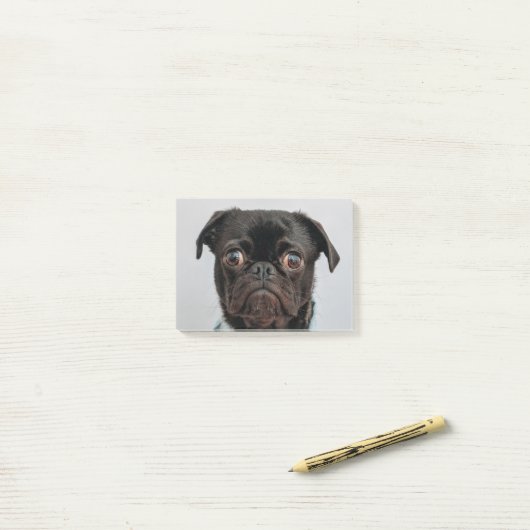 zakenhond post-it® notes (Op bureau)
