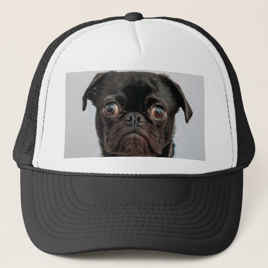 zakenhond trucker pet (Voorkant)