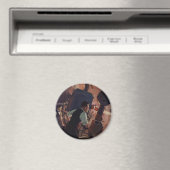 zakenwereld, filmbioscoopprojectionist magneet (Insitu (Vaatwasser))
