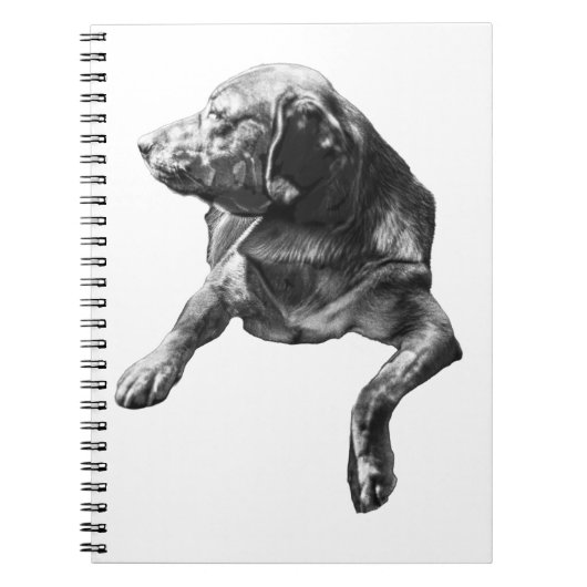 Zakformaat notitieboek, Labrador Notitieboek (Voorkant)