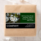 Zakfoto - Cherry Blossom Etiket (Insitu)