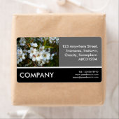 Zakfoto - Cherry Blossom Etiket (Insitu)