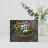 Zakje met Violas Briefkaart (Staand voorkant)