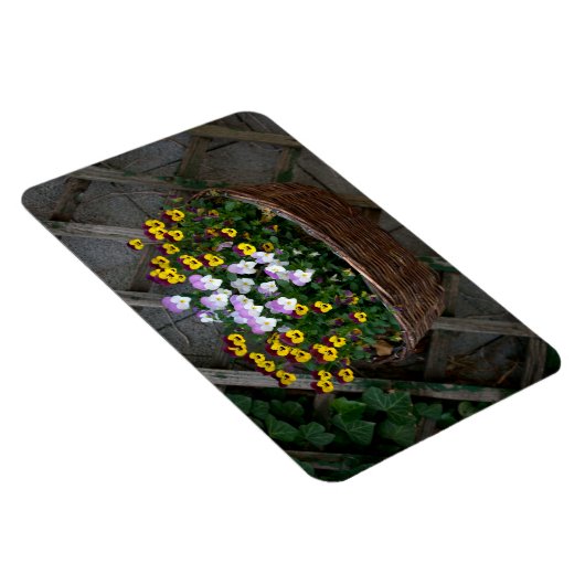 Zakje met Violas Magneet (Rechterzijde)