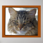 Zak's Pic Poster (Voorkant)