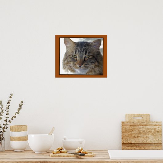 Zak's Pic Poster (Keuken)