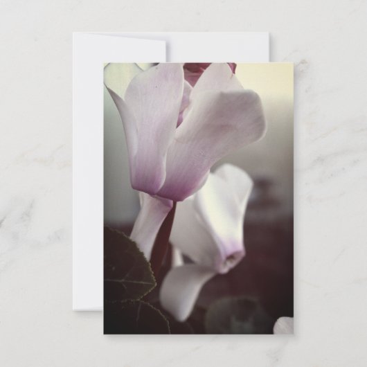 Zal je mijn bloemmeisje briefkaart zijn? (Achterkant)