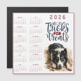 Zal Trucs Doen Voor Behandelingen Hond Kalender