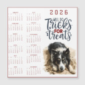 Zal Trucs Doen Voor Behandelingen Hond Kalender (Voorkant)