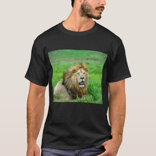 Zalige Lion Rest T-shirt (Voorkant)