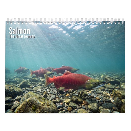 Zalm 2027 kalender (Hoes)