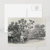 Zalm afspelen briefkaart (Voorkant / Achterkant)