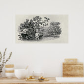 Zalm afspelen poster (Keuken)