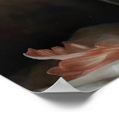 Zalm Amaryllis Flowers Art Print Poster (Hoek)