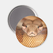 Zalm Boa Magnet (Voorkant / Achterkant)