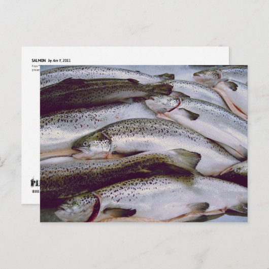Zalm Briefkaart (Voorkant / Achterkant)
