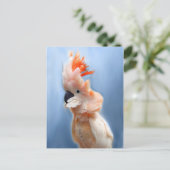 Zalm Crested Cockato-Briefkaarten Briefkaart (Staand voorkant)