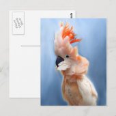 Zalm Crested Cockato-Briefkaarten Briefkaart (Voorkant / Achterkant)