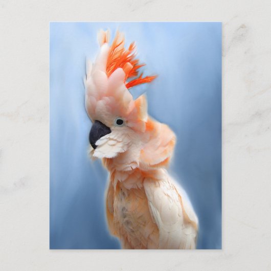 Zalm Crested Cockato-Briefkaarten Briefkaart (Voorkant)