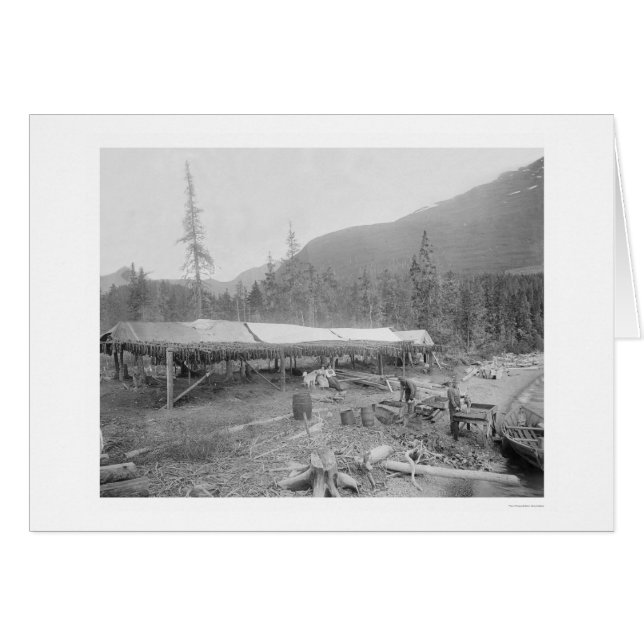 Zalm drogen in Alaska 1915 (Voorkant Horizontaal)