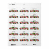 Zalm en koraal Blush Floral Address Label (Full Sheet)