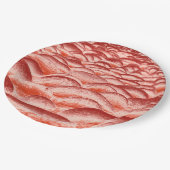 Zalm en peach Rockscape Papieren Bordje (Gekanteld)