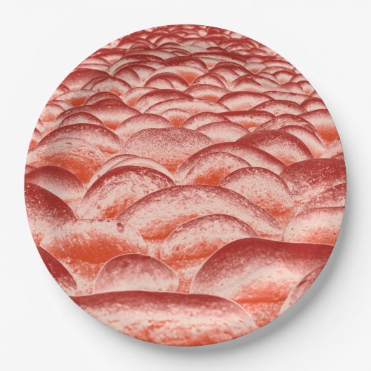 Zalm en peach Rockscape Papieren Bordje (Voorkant)