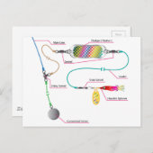 Zalm- en zoutwatertrolling met een kolf briefkaart (Voorkant / Achterkant)