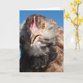 Zalm Faverolle Pullet, Birthday Kaart (Gele Bloem)