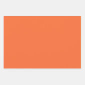 Zalm Inpakpapier Vel (Voorkant)