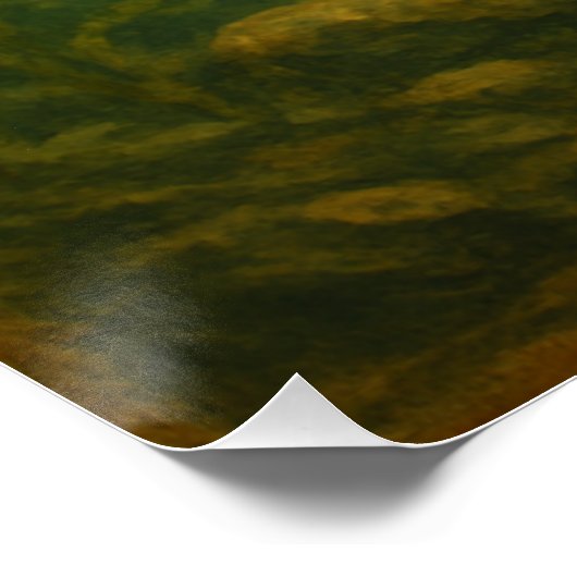 Zalm Poster (Hoek)